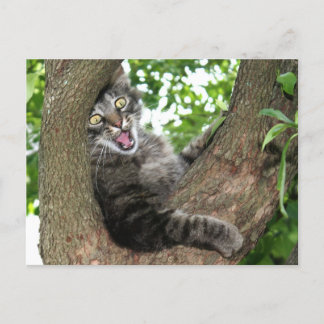 Fijne kat in boom briefkaart