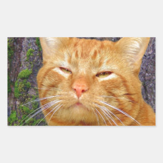 Fijne Kat Kat! Rechthoekige Sticker