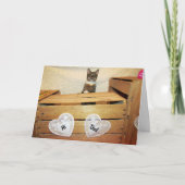 Fijne Kat Papa's Dag - Vaderdag Kaart (Voorkant)