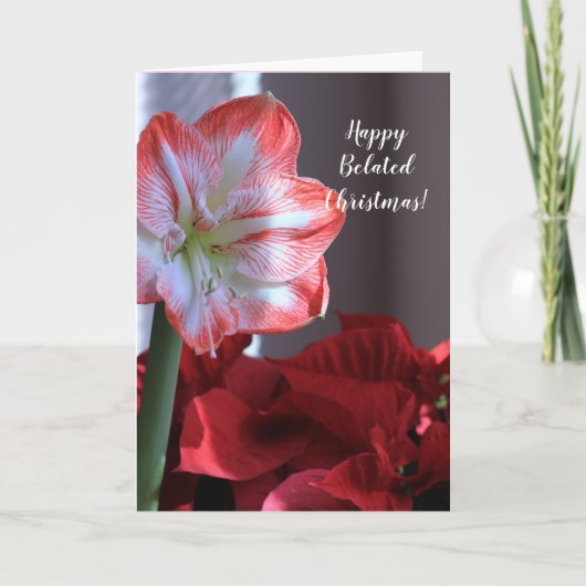 Fijne kerst Amaryllis-bloemkaart Feestdagen Kaart (Voorkant)