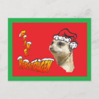 Fijne Kerstdag Stokstaartje Kerstman Briefkaart