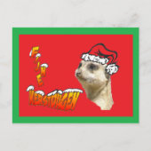 Fijne Kerstdag Stokstaartje Kerstman Briefkaart (Voorkant)