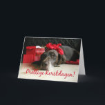 Fijne kerstdagen - Dutch Christmas Feestdagen Kaart<br><div class="desc">Fijne Kerstdagen - Merry Christmas in Dutch. Surprise your nearest and dearest, your friends, co-workers, neighbors or even your boss with a special card in their own language or your (2nd) language. Many different designs available: from a modern collage photography card, mixing ornaments and winter landscapes, a classic vintage christmas...</div>