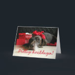 Fijne kerstdagen - Dutch Christmas Feestdagen Kaart<br><div class="desc">Fijne Kerstdagen - Merry Christmas in Dutch. Surprise your nearest and dearest, your friends, co-workers, neighbors or even your boss with a special card in their own language or your (2nd) language. Many different designs available: from a modern collage photography card, mixing ornaments and winter landscapes, a classic vintage christmas...</div>