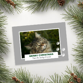 Fijne kerstkat Witte verf Afdrukfoto Feestdagenkaart