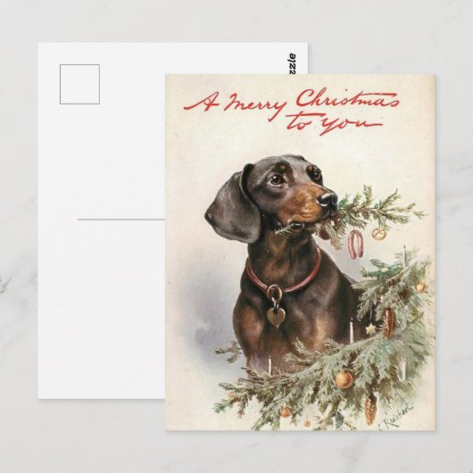 Fijne Kerstmis Teckel Briefkaart (Voorkant / Achterkant)