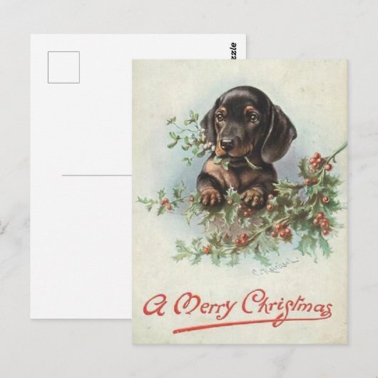 Fijne Kerstmis Teckel Briefkaart (Voorkant / Achterkant)