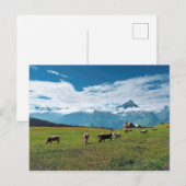 Fijne Koeien op het Boerderij in Zwitserland Briefkaart (Voorkant / Achterkant)