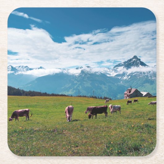 Fijne koeien op het Boerderij in Zwitserland Kartonnen Onderzetters (Voorkant)