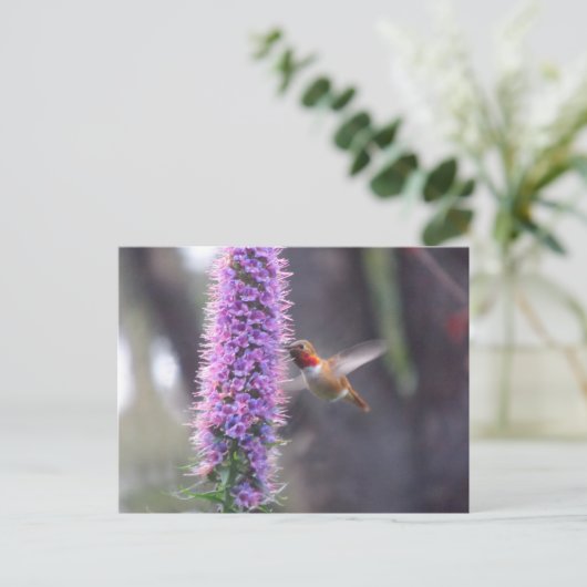 Fijne kolibrie briefkaart (Staand voorkant)