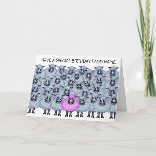 Fijne kudde schapenkaart kaart (Voorkant)