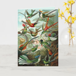 Fijne Kunst Kolibries Aangepaste Groet Kaart