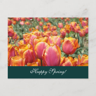 Fijne Lente! ansichtkaarten Kleurrijke Tulp Bloem Briefkaart