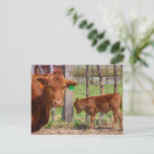 Fijne Moederdag! Briefkaart (Staand voorkant)