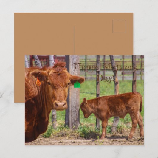 Fijne Moederdag! Briefkaart (Voorkant / Achterkant)