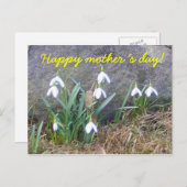 Fijne Moederdag! Briefkaart (Voorkant / Achterkant)