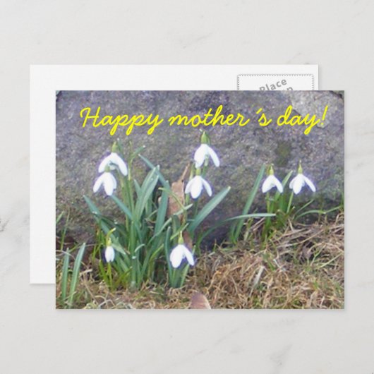 Fijne Moederdag! Briefkaart (Voorkant / Achterkant)