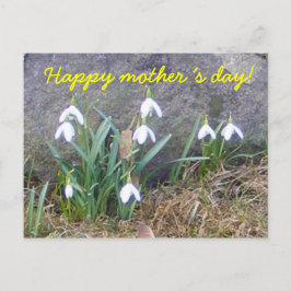 Fijne Moederdag! Briefkaart