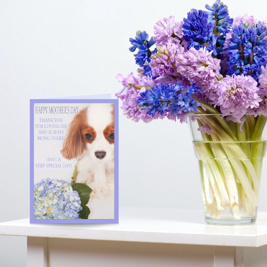 Fijne Moederdag Cavalier Met Hydrangea Kaart