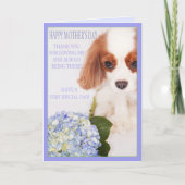 Fijne Moederdag Cavalier Met Hydrangea Kaart (Voorkant)