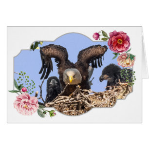 Fijne Moederdag, Eagles
