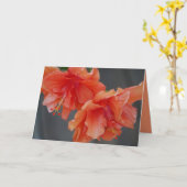 Fijne Moederdag! Hibiscus-Wenskaart Kaart (Gele Bloem)