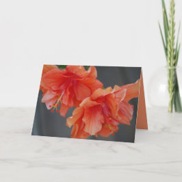 Fijne Moederdag! Hibiscus-Wenskaart Kaart