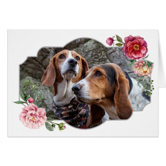 Fijne Moederdag, Honden (Voorkant Horizontaal)