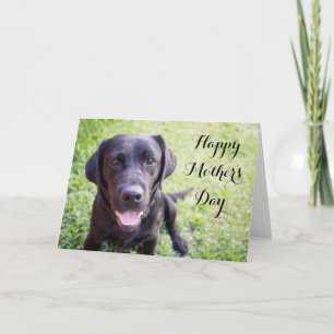 Fijne Moederdag Kaart met zwarte labrador