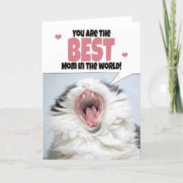 Fijne Moederdag Kat Schreeuwende Humor Feestdagen Kaart