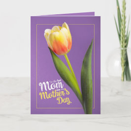 Fijne Moederdag Mooie Gele Tulp op Paars Feestdagen Kaart