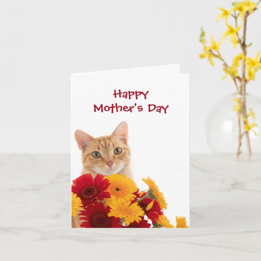 Fijne Moederdag Mooie Kat wenskaart Kaart (Gele Bloem)