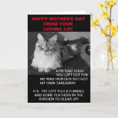 Fijne Moederdag van de kattenkaart Kaart (Gele Bloem)