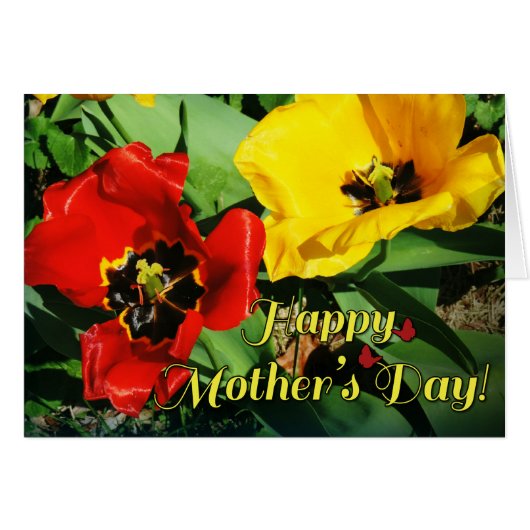 Fijne Moederdag vrolijke rode en gele tulpen (Voorkant Horizontaal)