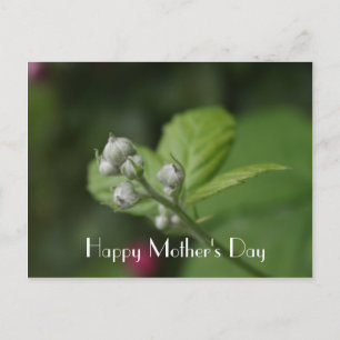 Fijne Moederdag, zomer wilde frambozenbloem Briefkaart