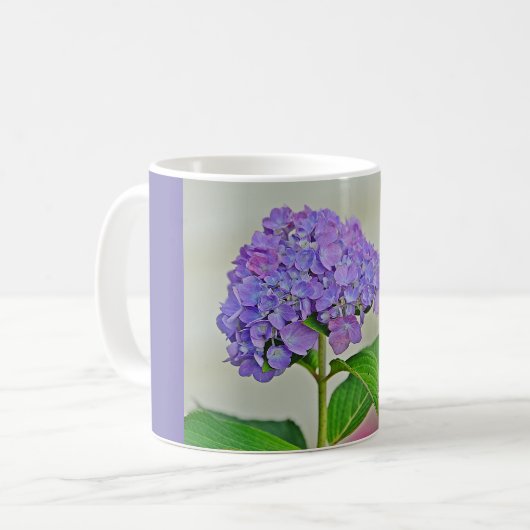 Fijne Mok Hydrangea (Voorkant links)