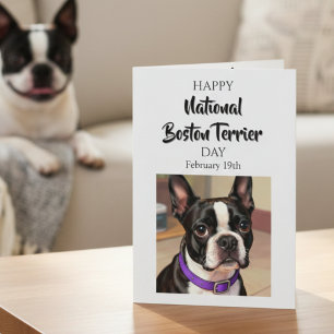 Fijne Nationale Boston Terrier Dag   19 februari Kaart
