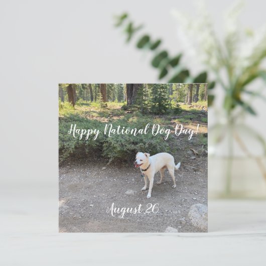 Fijne Nationale Dag!  Feestdagenkaart (Staand voorkant)