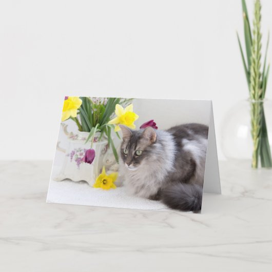 Fijne Nationale Dag van de Broers en Zussen! Kaart (Voorkant)