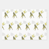 Fijne, opvallende aquarel honingeter inpakpapier vel (Voorkant 2)