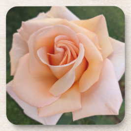 Fijne Oranje Roos Bloom Floral Bier Onderzetter