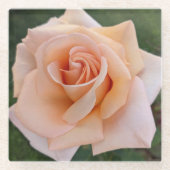 Fijne Oranje Roos Bloom Floral Glazen Onderzetter (Voorkant)