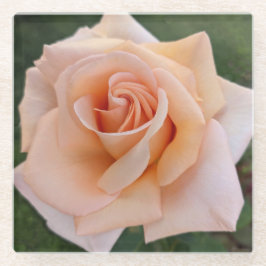 Fijne Oranje Roos Bloom Floral Glazen Onderzetter