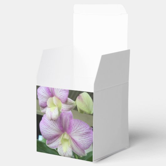 Fijne Orchideeën op persoonlijke fornuizen Bedankdoosjes (Geopend)