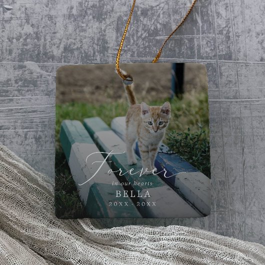 Fijne Overlay Foto Huisdier Kat Herdenkingsfeestda Keramisch Ornament