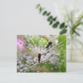 Fijne Paardenbloem Abstract Briefkaart (Staand voorkant)