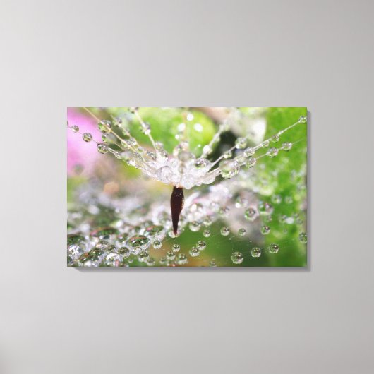 Fijne Paardenbloem Abstract Canvas Afdruk (Voorkant)