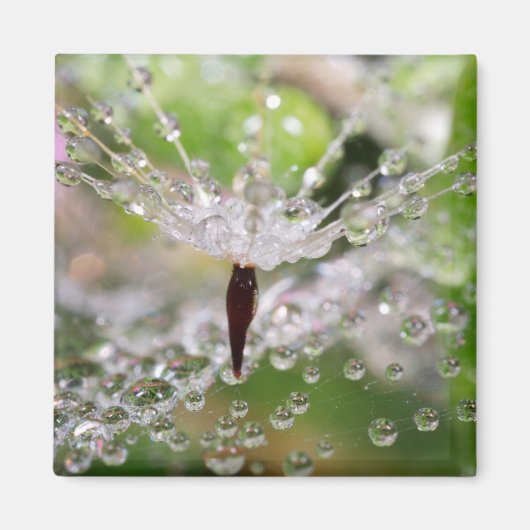 Fijne Paardenbloem Abstract Magneet (Voorkant)