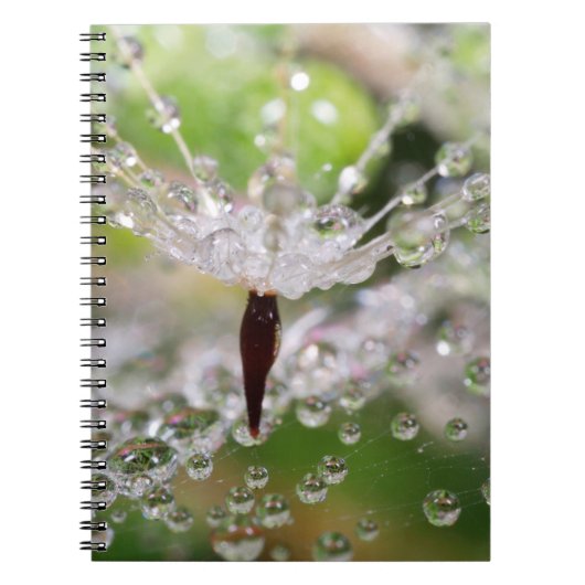 Fijne Paardenbloem Abstract Notitieboek (Voorkant)