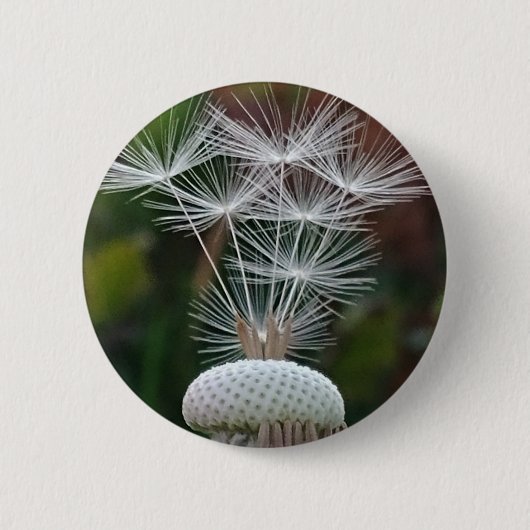 Fijne Paardenbloempluizen Ronde Button 5,7 Cm (Voorkant)